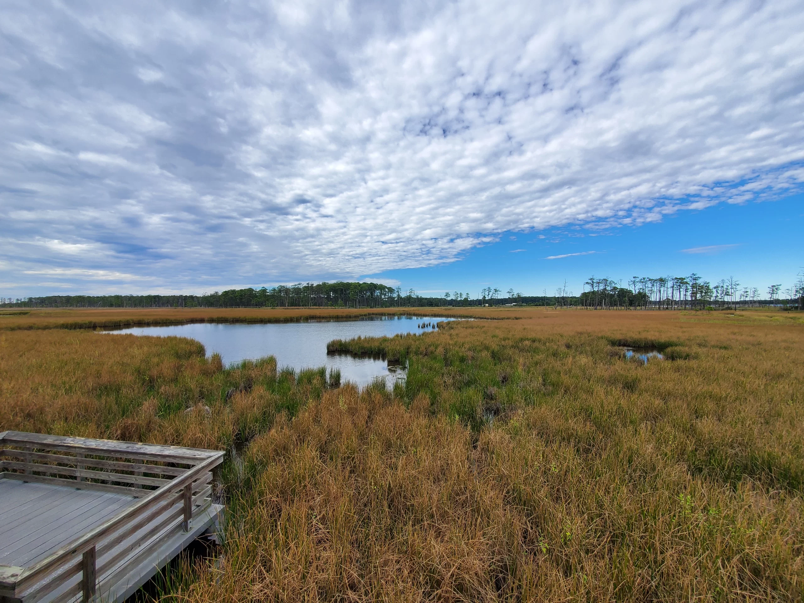 Cambridge, Maryland