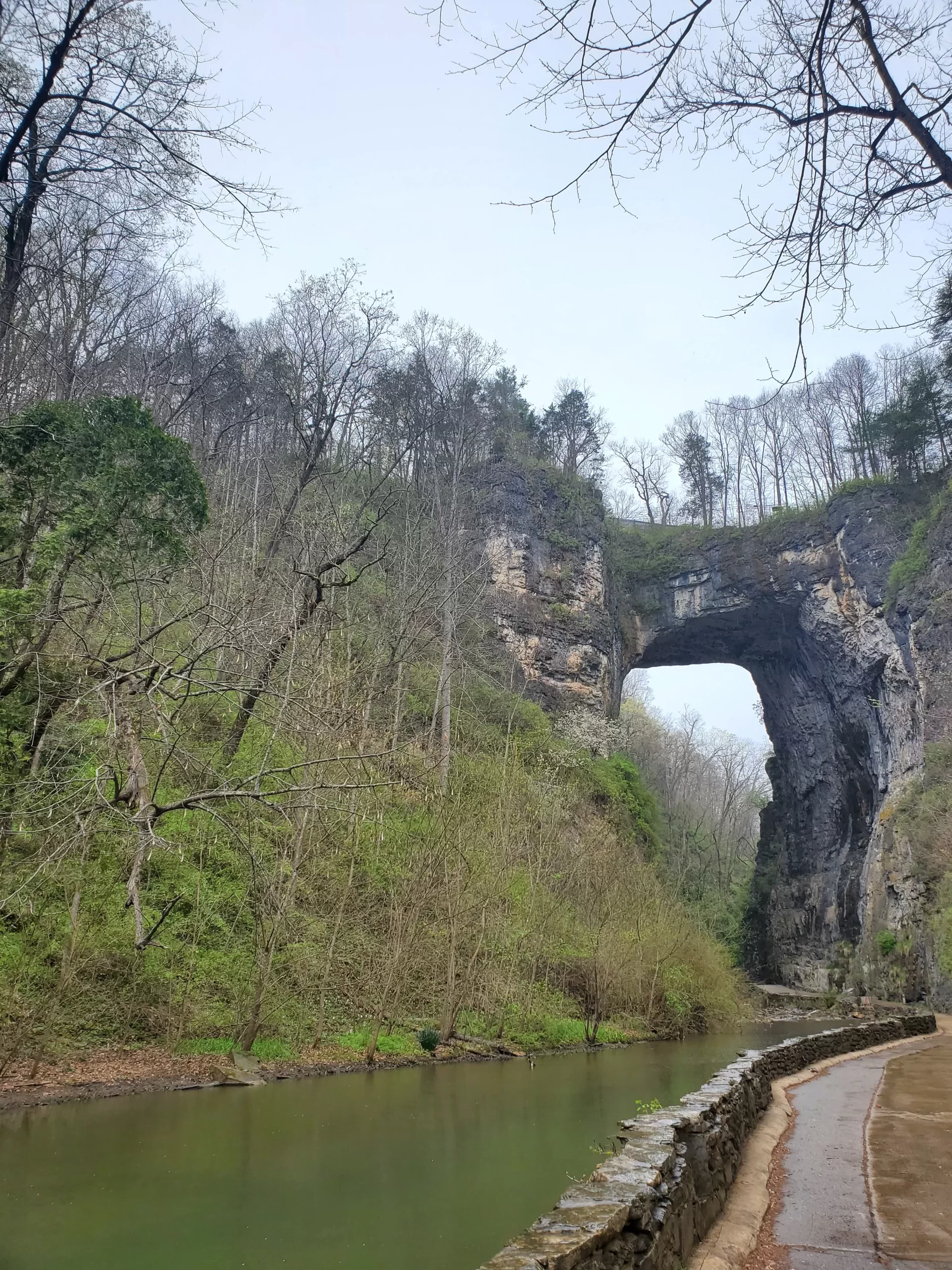 The Natural Bridge at Natural Bridge State Park