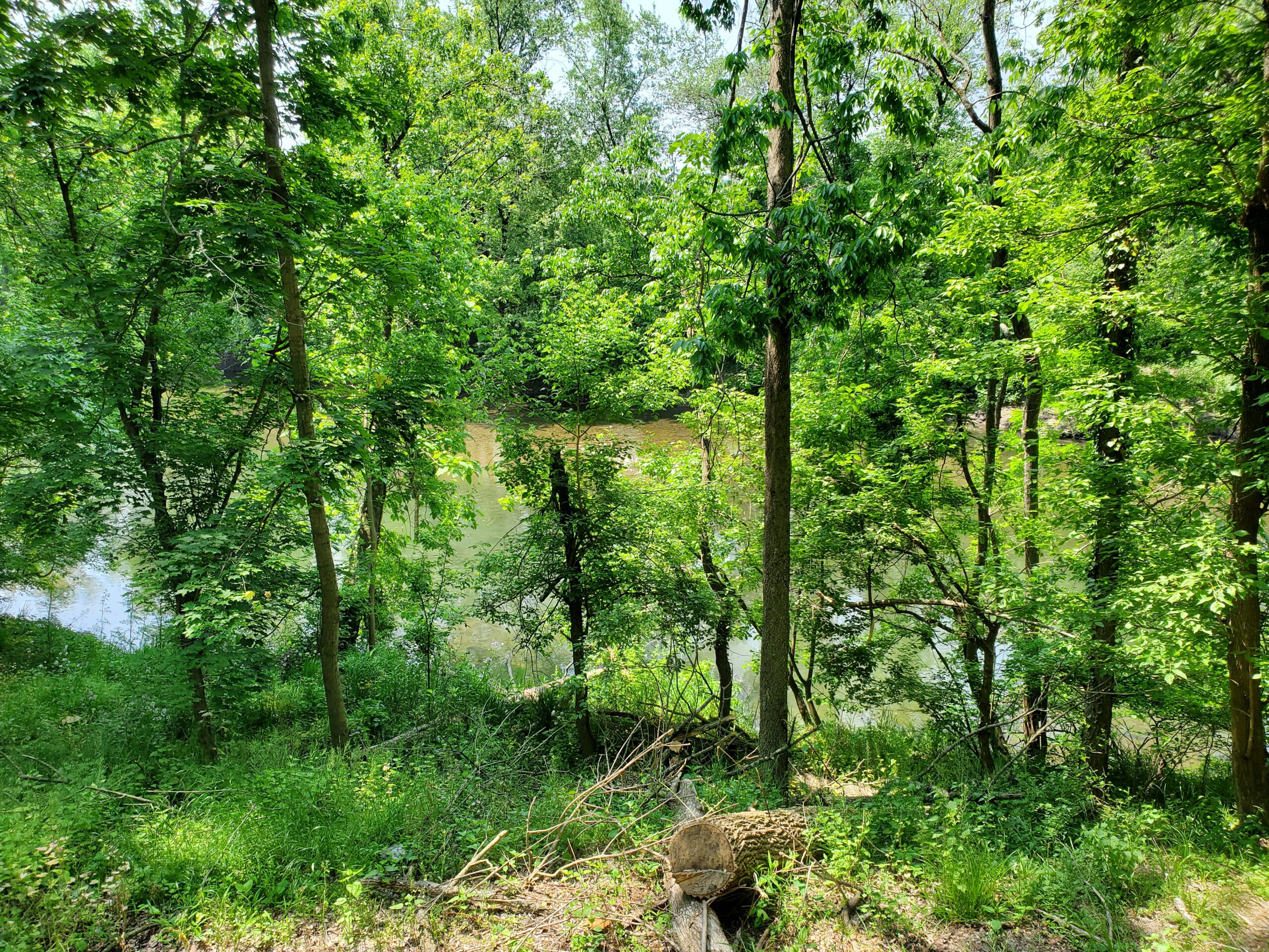 Traveling Tick-Free: Simple Tricks That Keep Ticks Away