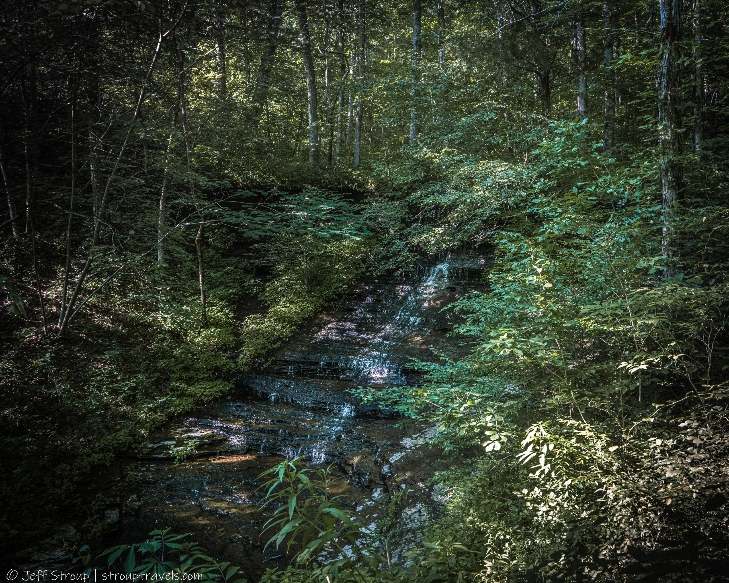 Fall Hollow Trail Tips: What Nobody Tells You Before You Go