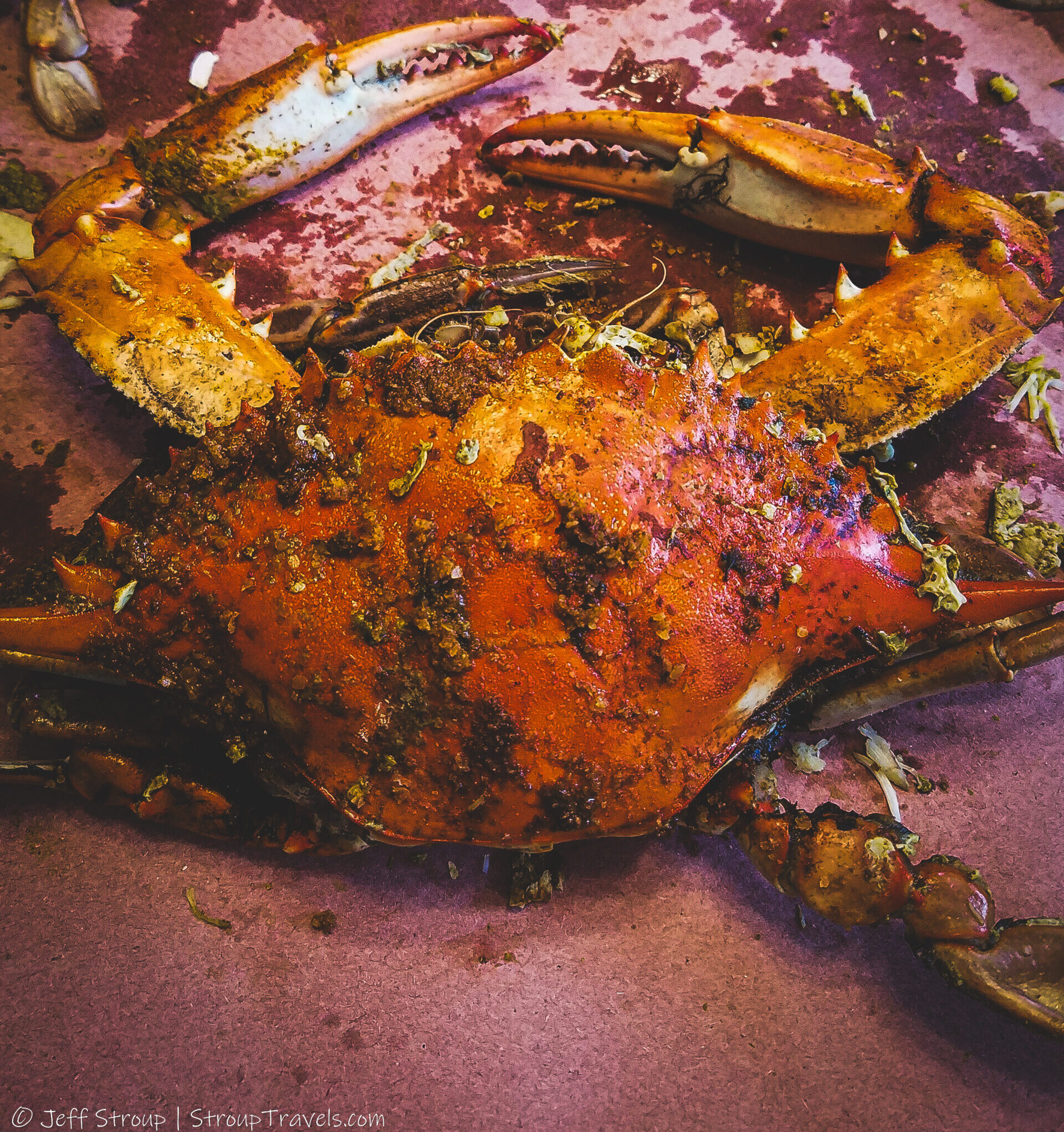 Steamed Maryland blue crab covered in Old Bay seasoning on butcher paper